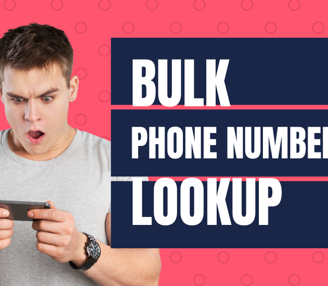 Maximizing Efficiency: How Bulk Phone Number Lookup Can Revolutionize Your Workflow