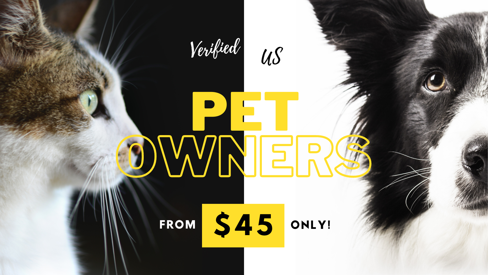 Unleashing the Power of Data: The Ultimate Guide to PET Owners Database